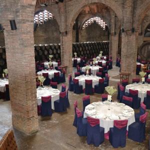 Celler Gran de Caves Codorniu