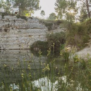 El Secret de la Carme i el Sergi. La paraula “Pèlag”