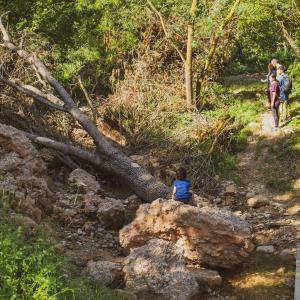 El Secret del Ton. El Camí del riu