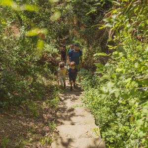 El Secret del Ton. El Camí del riu