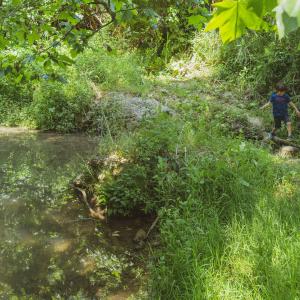 El Secret del Ton. El Camí del riu