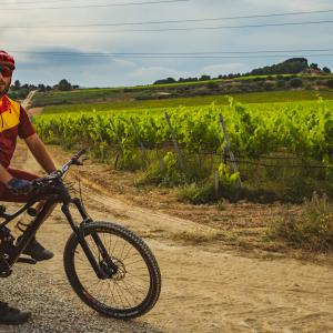 El Secret del Vicenç. Contemplar el Penedès des d’una cadira gegant