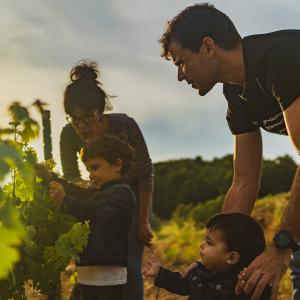 El Secret del Vicenç. Contemplar el Penedès des d’una cadira gegant