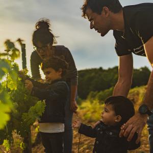 El Secret del Vicenç. Contemplar el Penedès des d’una cadira gegant