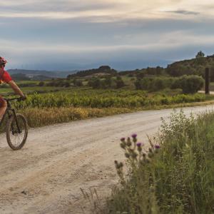 El Secret del Vicenç. Contemplar el Penedès des d’una cadira gegant