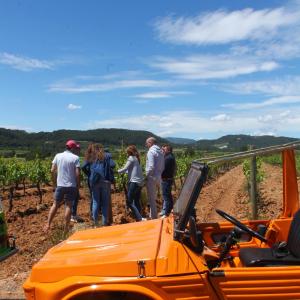 Descubre los secretos de la viticultura ecológica