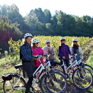  Bikemotions - Lloguers i Rutes en Bici