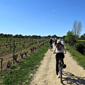  Bikemotions - Lloguers i Rutes en Bici