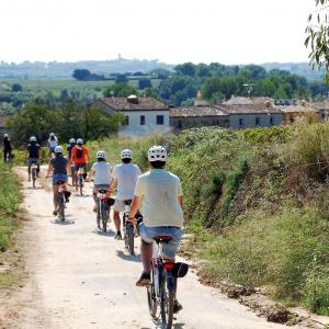  Bikemotions - Lloguers i Rutes en Bici