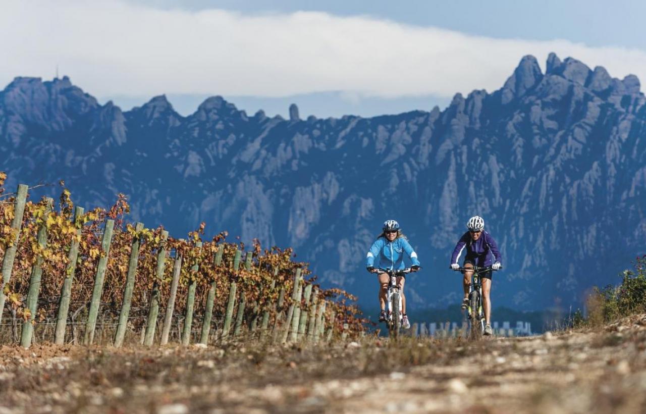 Penedès Ecotours