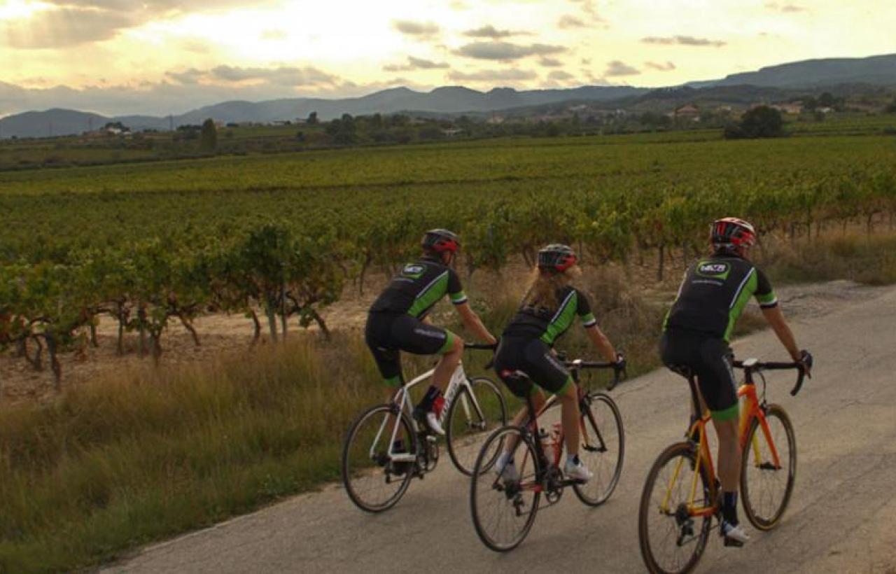 Bike tours en bicicleta de carretera i de passeig pel Penedès